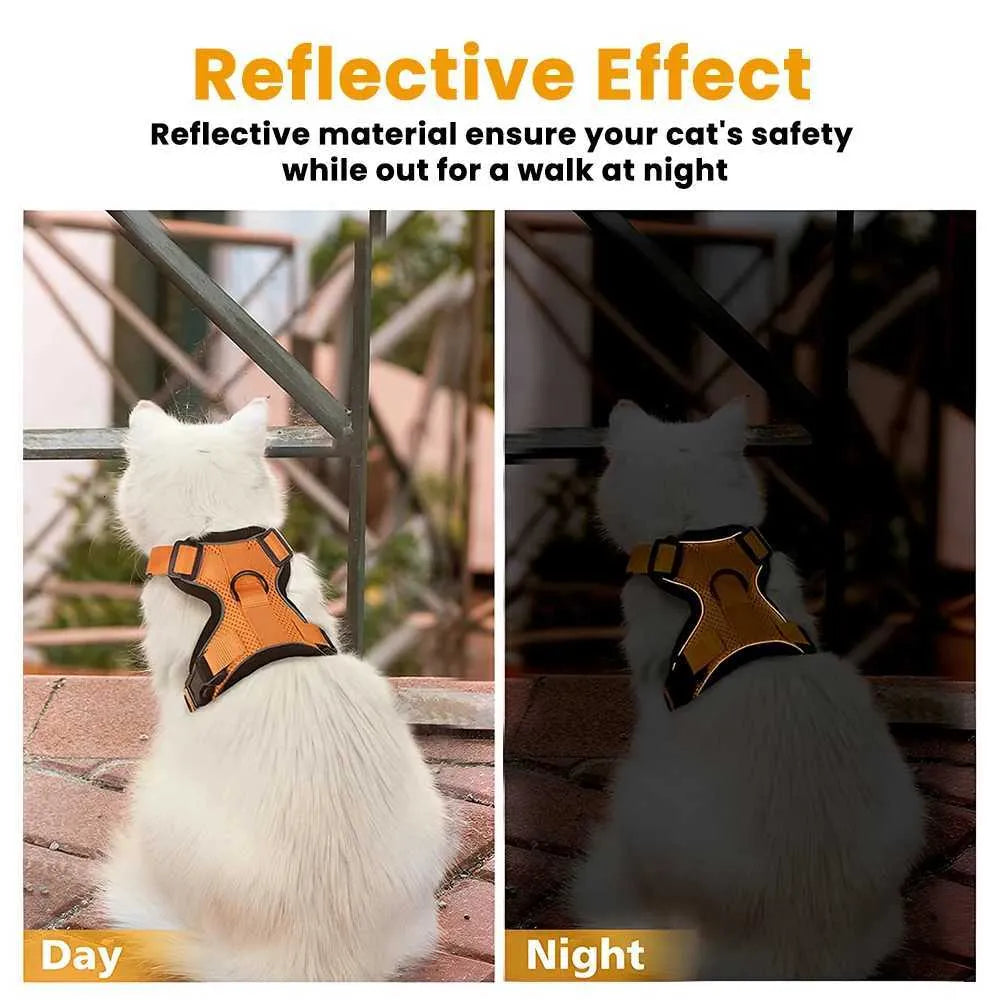 Escape-Proof Cat Harness & Leash Set