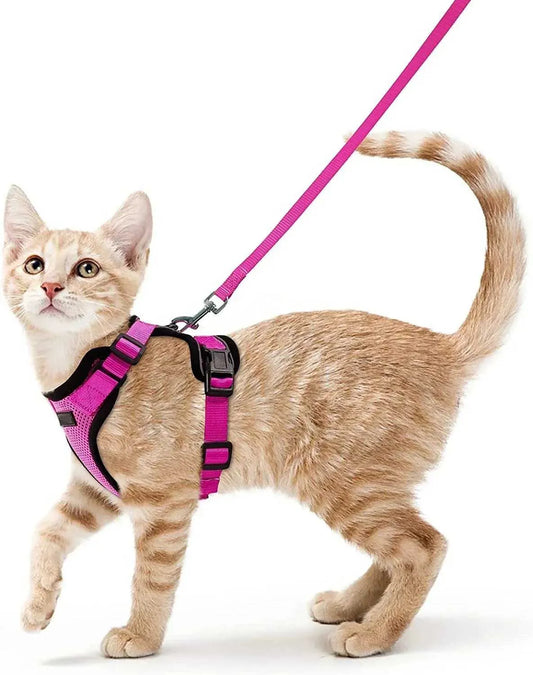 Stylish Escape-Proof Cat Harness & Leash Set